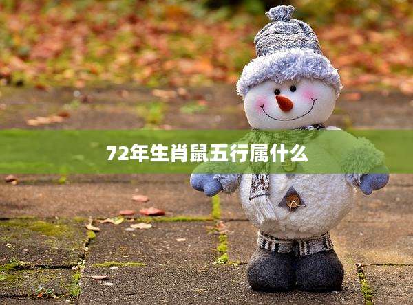 72年生肖鼠五行属什么
