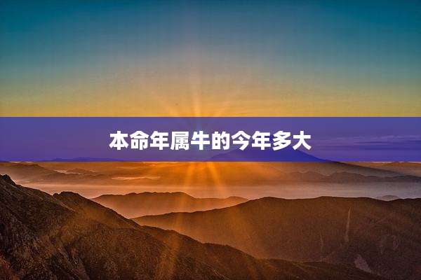 本命年属牛的今年多大