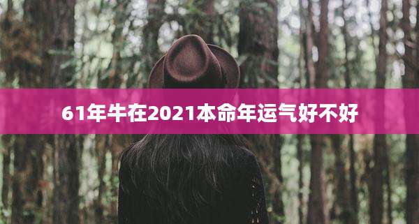61年牛在2021本命年运气好不好