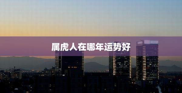 属虎人在哪年运势好