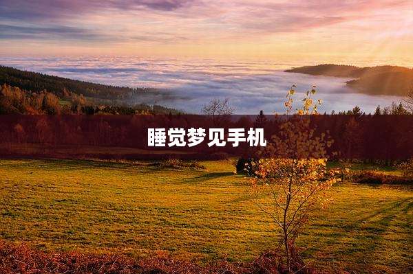 睡觉梦见手机