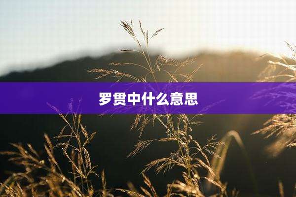 罗贯中什么意思