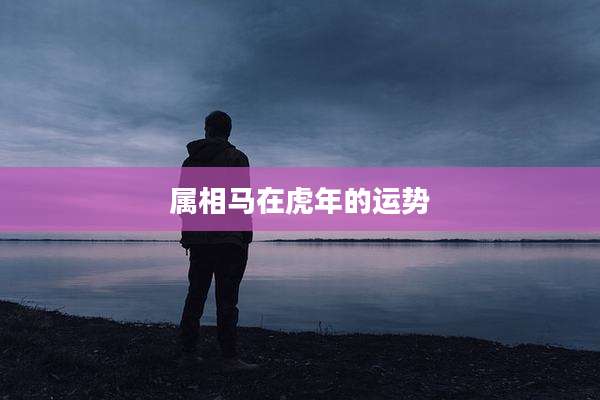属相马在虎年的运势