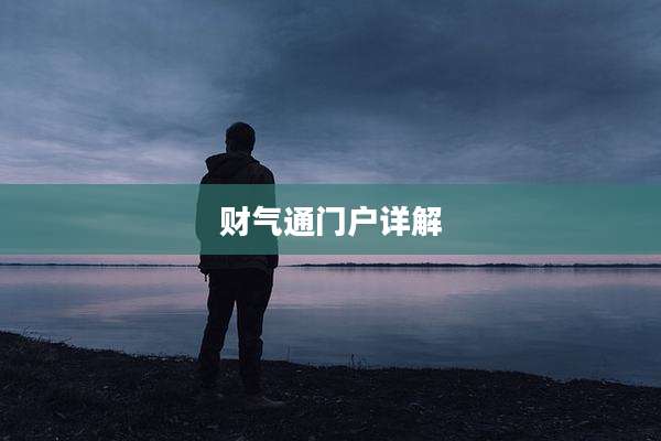 财气通门户详解