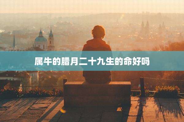 属牛的腊月二十九生的命好吗