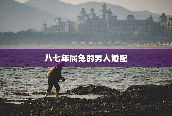 八七年属兔的男人婚配