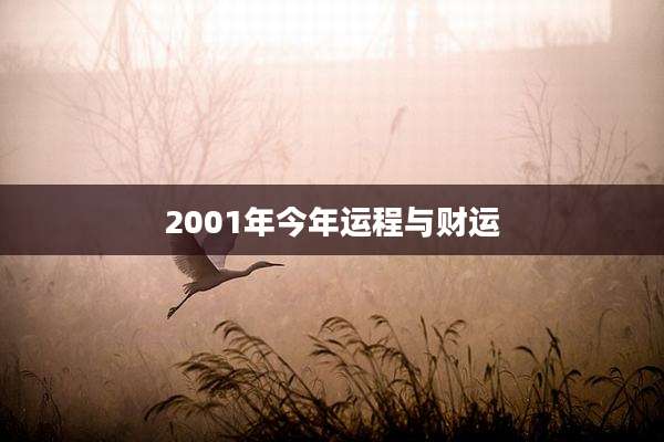 2001年今年运程与财运