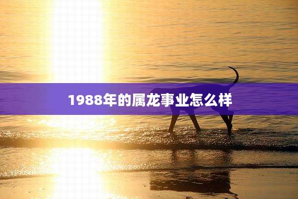 1988年的属龙事业怎么样