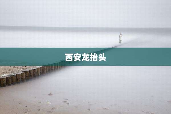 西安龙抬头