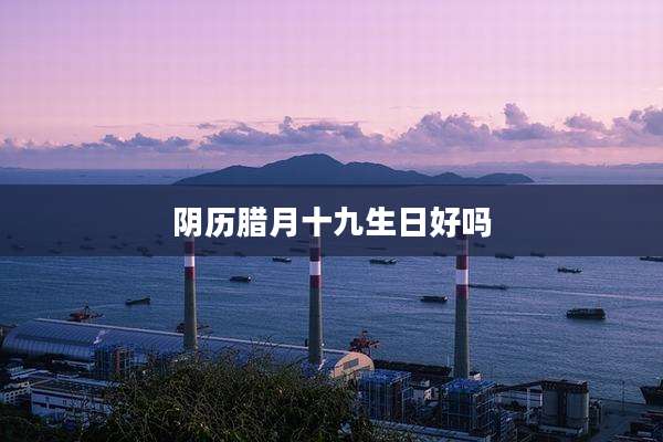 阴历腊月十九生日好吗