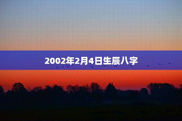 2002年2月4日生辰八字