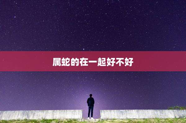 属蛇的在一起好不好