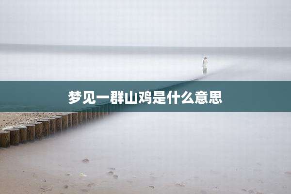 梦见一群山鸡是什么意思