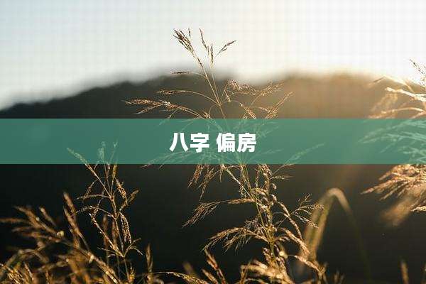 八字 偏房