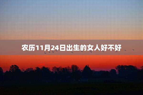 农历11月24日出生的女人好不好