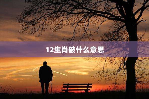 12生肖破什么意思