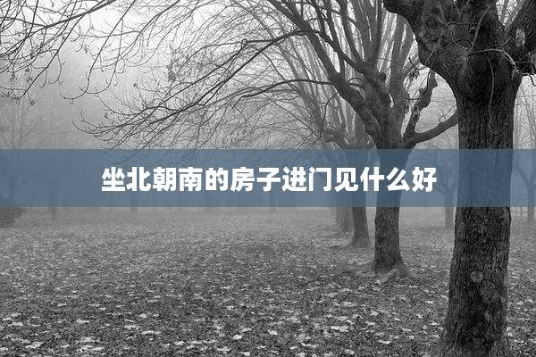 坐北朝南的房子进门见什么好