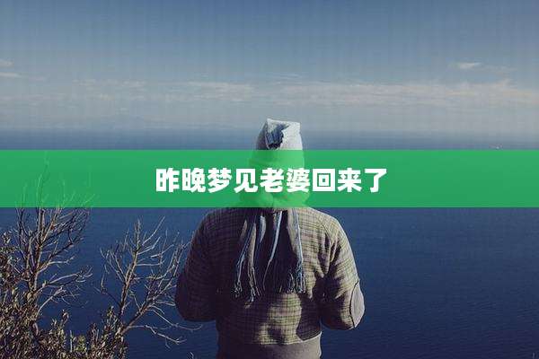 昨晚梦见老婆回来了
