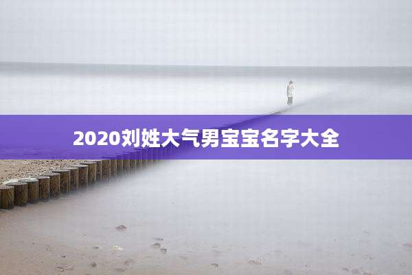 2020刘姓大气男宝宝名字大全