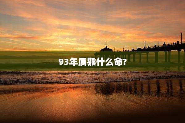 93年属猴什么命?