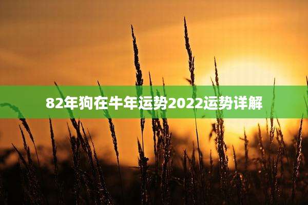 82年狗在牛年运势2022运势详解