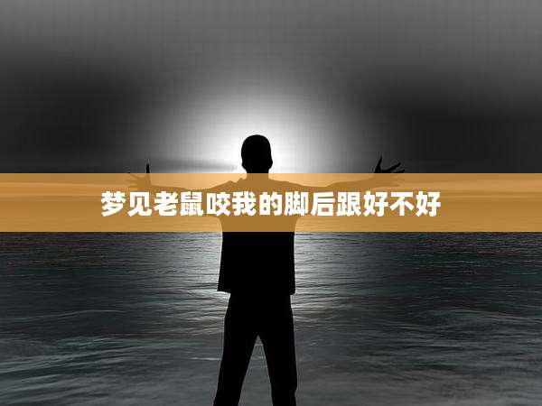 梦见老鼠咬我的脚后跟好不好