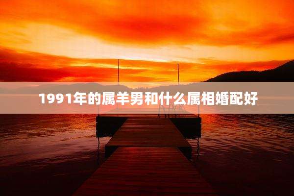 1991年的属羊男和什么属相婚配好