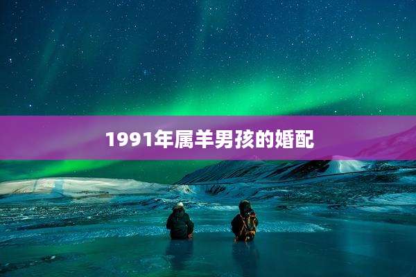 1991年属羊男孩的婚配