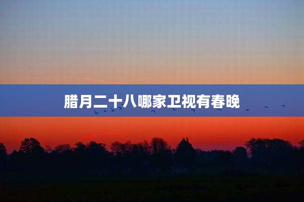 腊月二十八哪家卫视有春晚