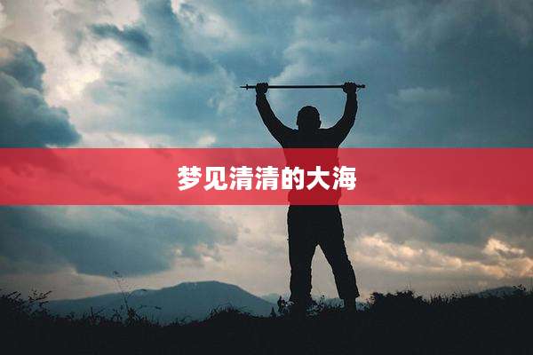 梦见清清的大海