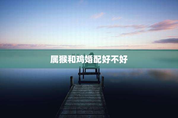 属猴和鸡婚配好不好