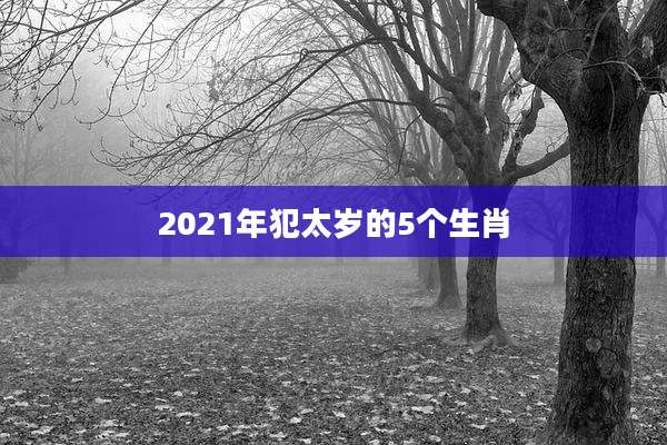 2021年犯太岁的5个生肖