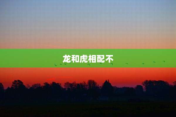 龙和虎相配不