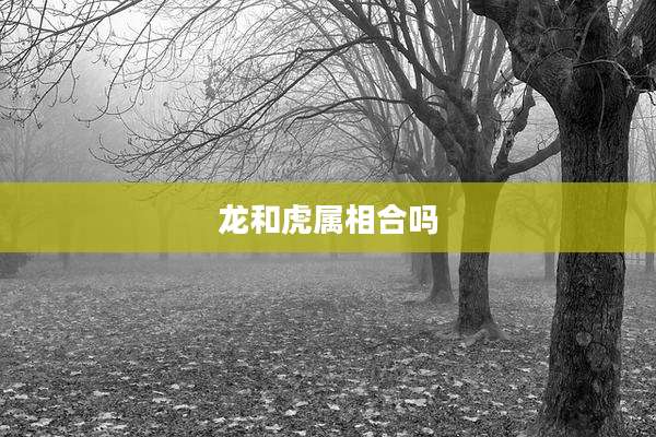 龙和虎属相合吗