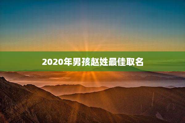 2020年男孩赵姓最佳取名