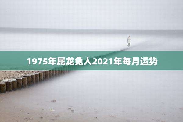 1975年属龙兔人2021年每月运势