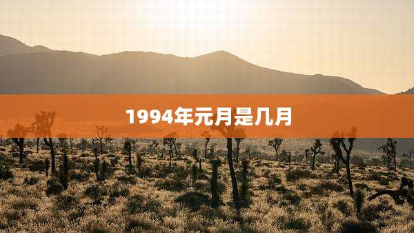 1994年元月是几月