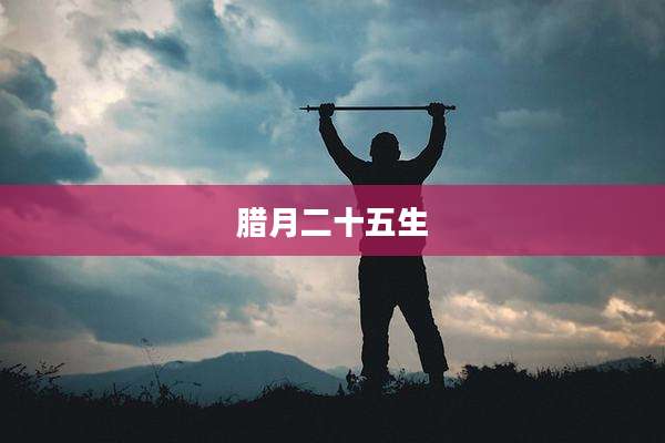 腊月二十五生