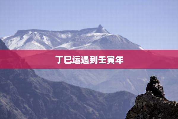 丁巳运遇到壬寅年