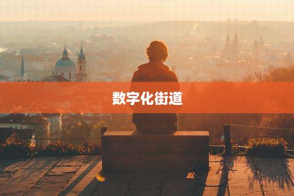 数字化街道