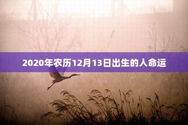 2020年农历12月13日出生的人命运
