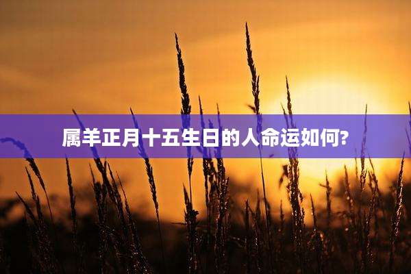 属羊正月十五生日的人命运如何?