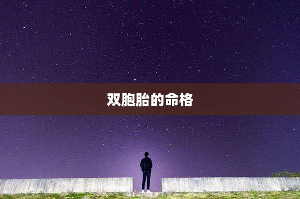 双胞胎的命格