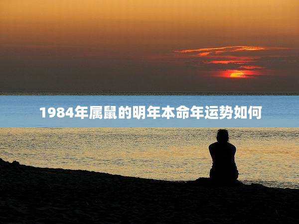 1984年属鼠的明年本命年运势如何