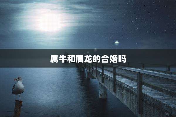 属牛和属龙的合婚吗