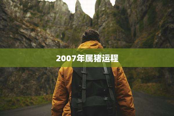 2007年属猪运程