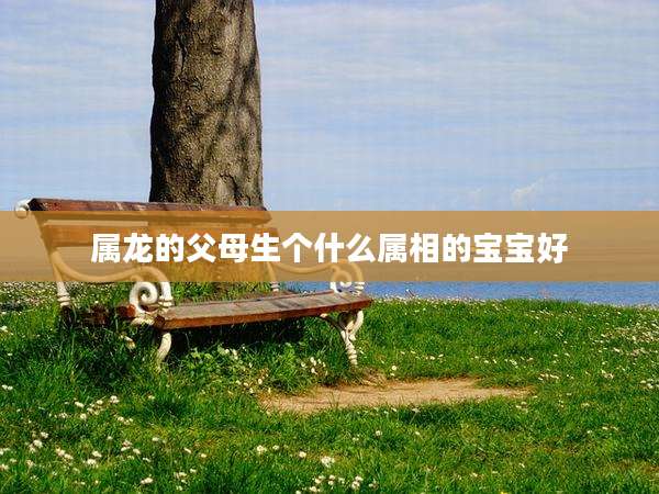 属龙的父母生个什么属相的宝宝好
