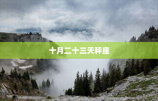 十月二十三天秤座