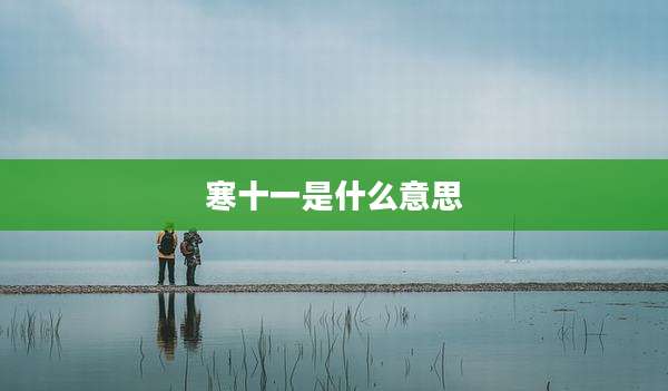 寒十一是什么意思