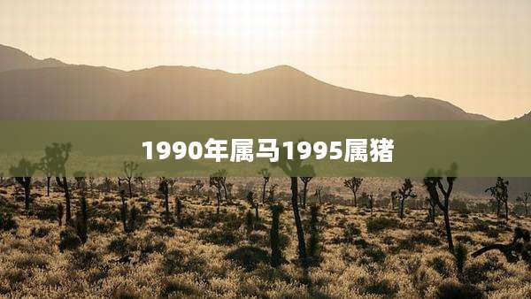1990年属马1995属猪